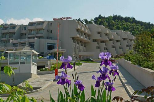 Panorama Hotel Szandanszki Kültér fotó